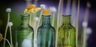 “Waste plastic bottles are not rubbish. They should be used in the right places.” – Enterprises devoted to the circular economy explore the secret gardens hidden in empty bottles.