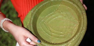 Returning to the tableware era of old: a newly developed German “leaf-made plate” that biodegrades in only 28 days